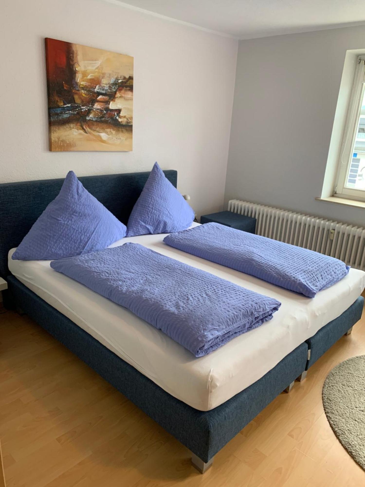 Landhaus Wiesemann Parkappartements & Dependance - Naehe Ettelsberg-Talstation Виллинген Экстерьер фото